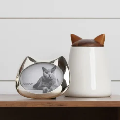 Cat Frame - 3